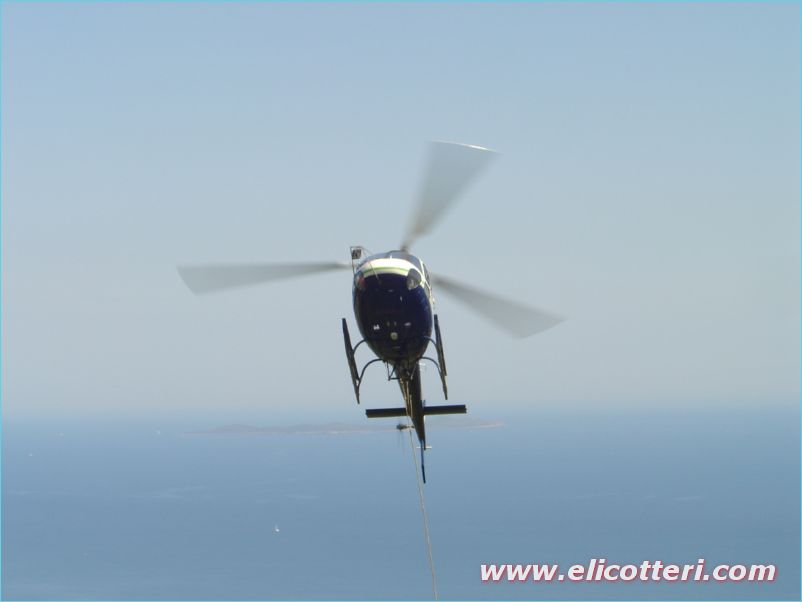 elifoto (54)
